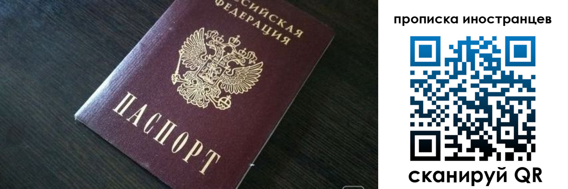 прописка 2025 в Светогорске